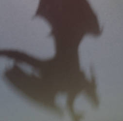 Shadow's shadow