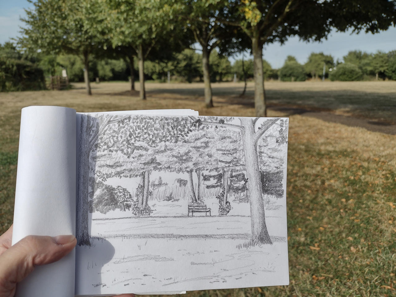 Park sketch 3