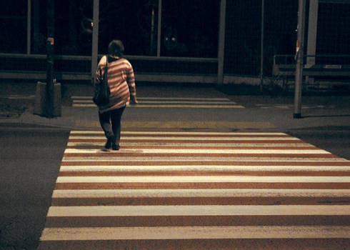 Zebra walking