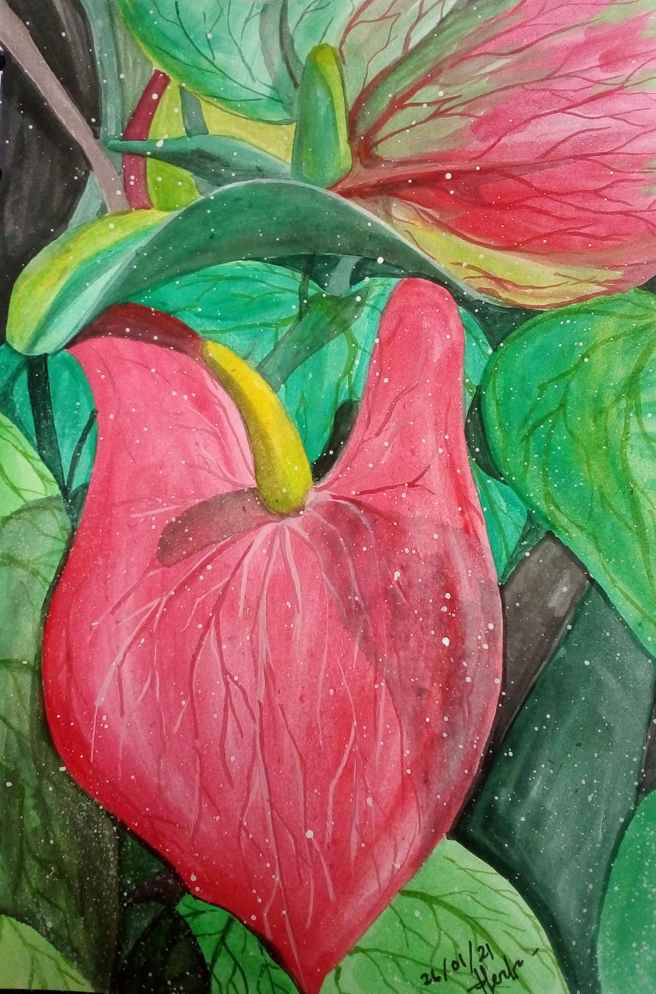 Plant Deviantart decorative plants by hendraart33 on DeviantArt