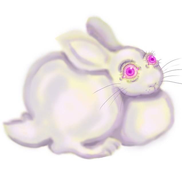 Albino rabbit by jelenkoart on DeviantArt