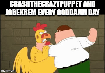Shellnut Button these two in a shellnut by Lockstepboi on DeviantArt