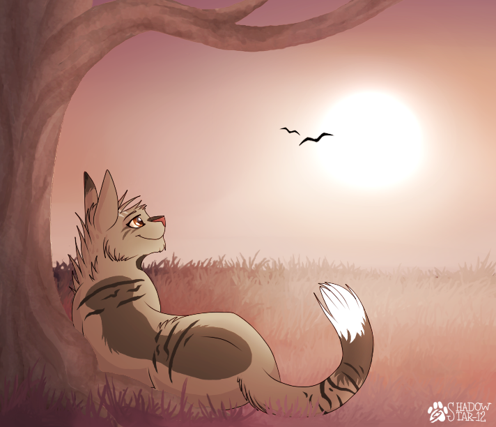 Watching the Sun Leave - Commission