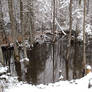 Beaver Pond, October 2023 #21