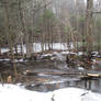 Beaver Pond, December 2023 #1