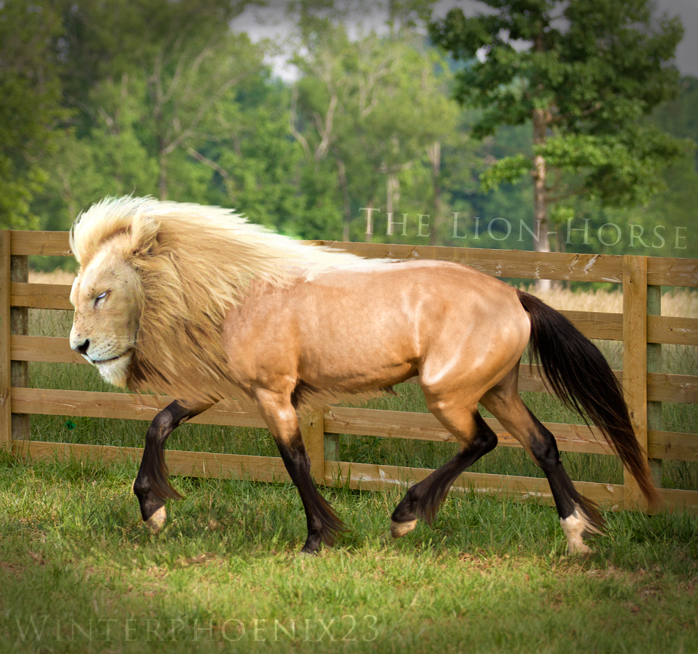 The Lion-Horse by Winterphoenix23 on DeviantArt