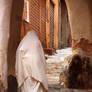 ghardaia