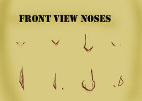 Front View Noses