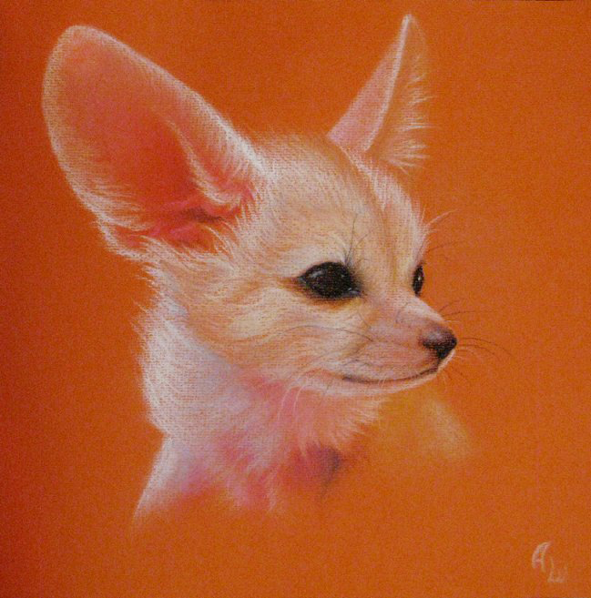 Fennec Fox