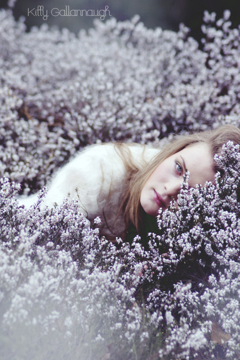 Heatherlover. by kittysyellowjacket