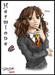 HP Character 3 - Hermione