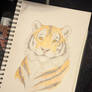 Tiger tiger