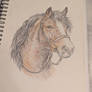 Heavy Horse