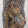 Dusk Equine Spirit