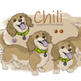 Chili Ref