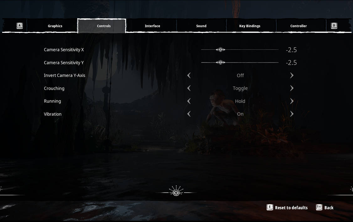my controls settings