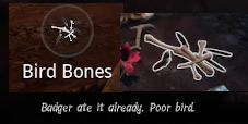 Bird Bones