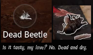 Dead Beetle