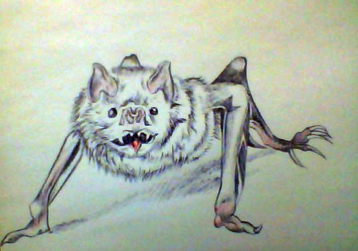 Vampire Bat by WickedReverie on DeviantArt