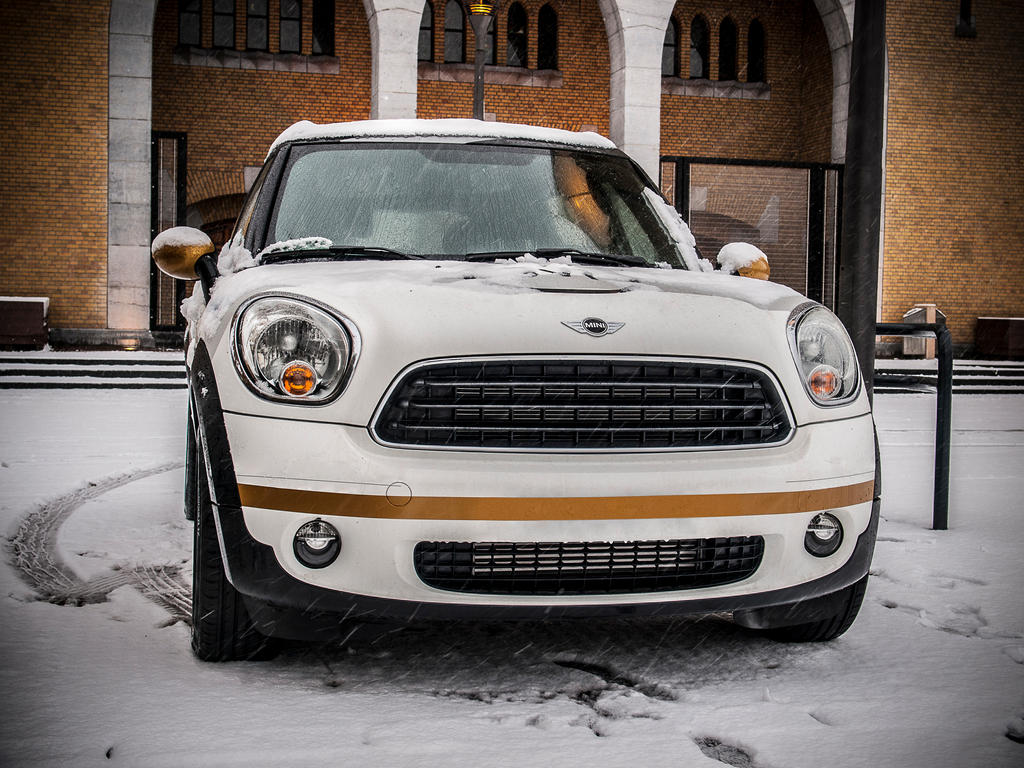 Mini Snow by Geo-Devin on DeviantArt