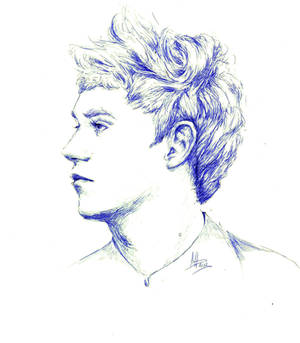 Niall Horan-4