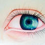 Color Pencil Eye