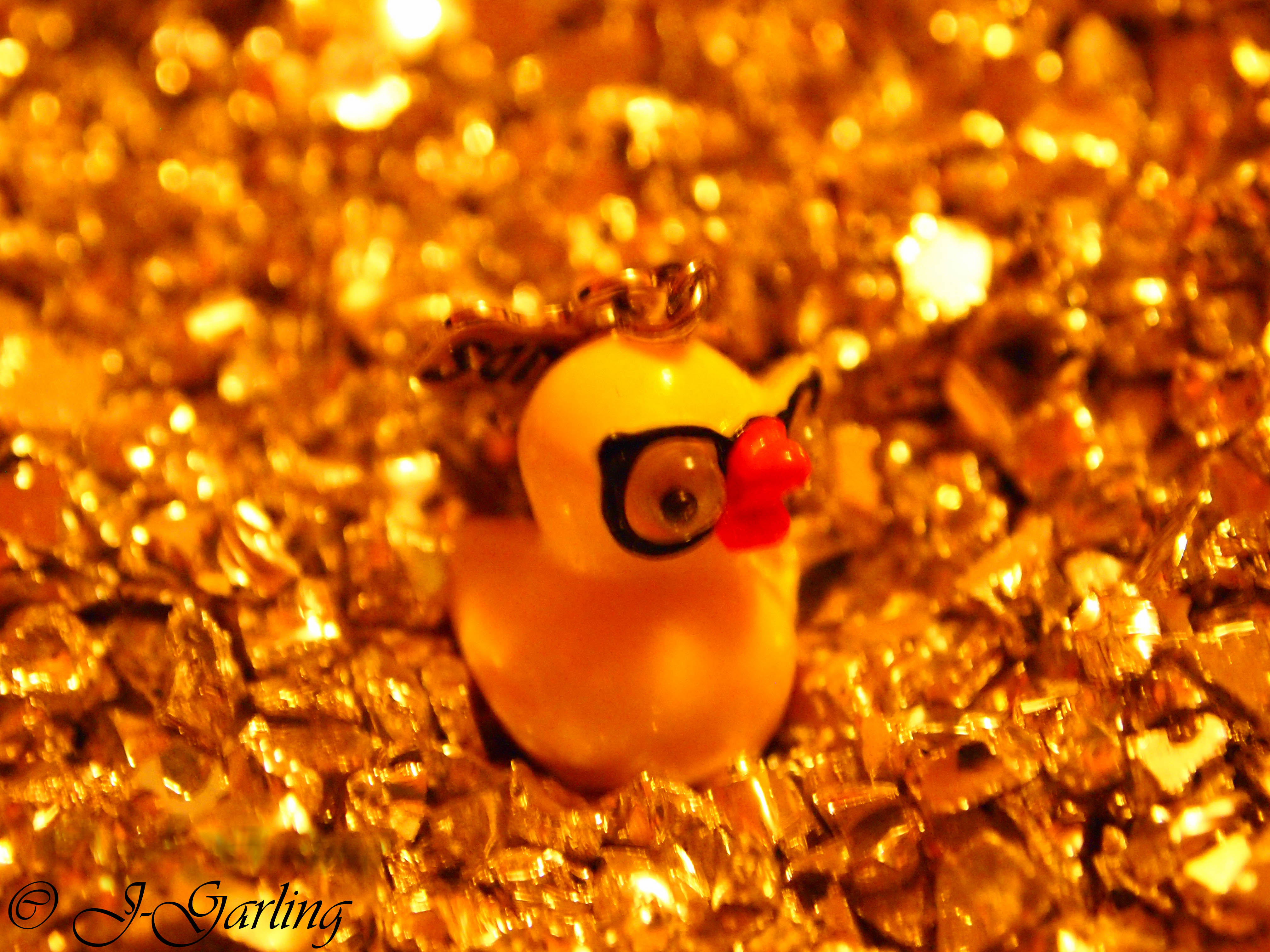 rhinestones and duck