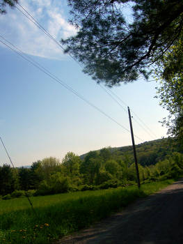 Bottom of the driveway.