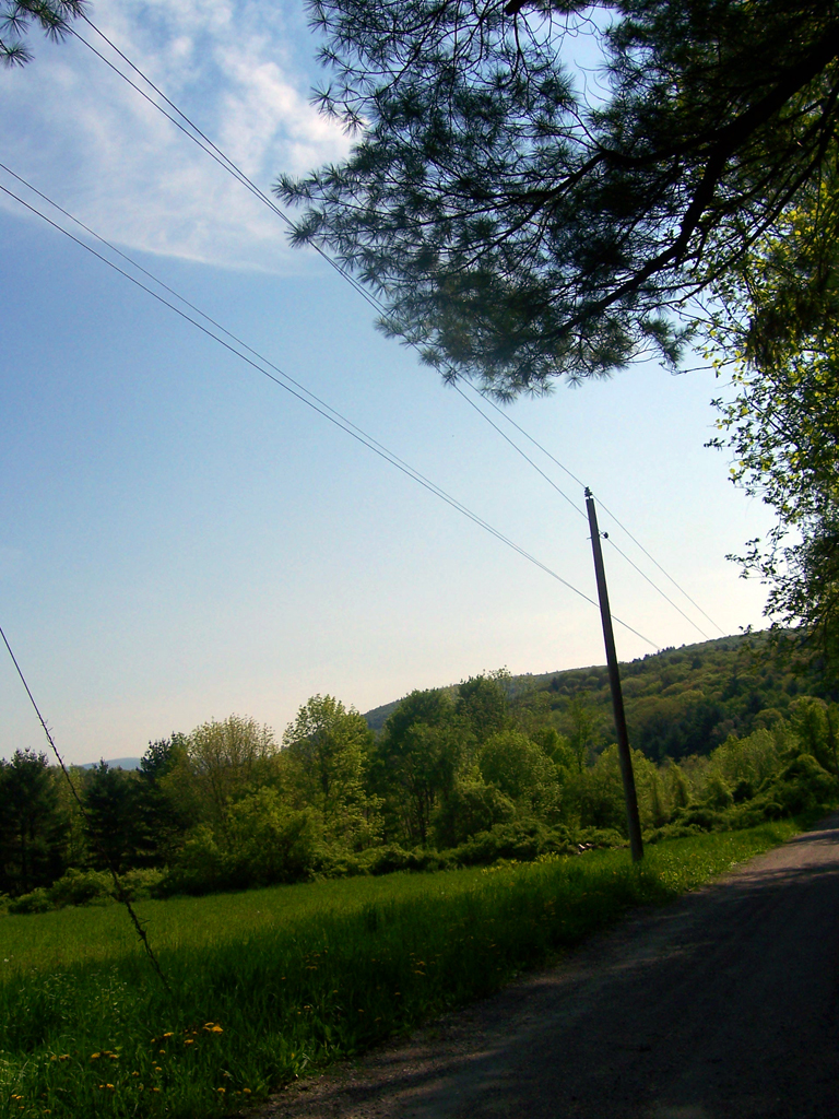 Bottom of the driveway.