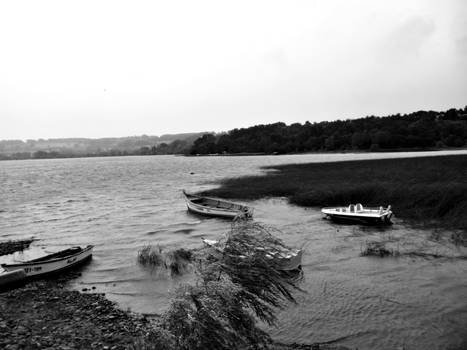 Lake's Storm