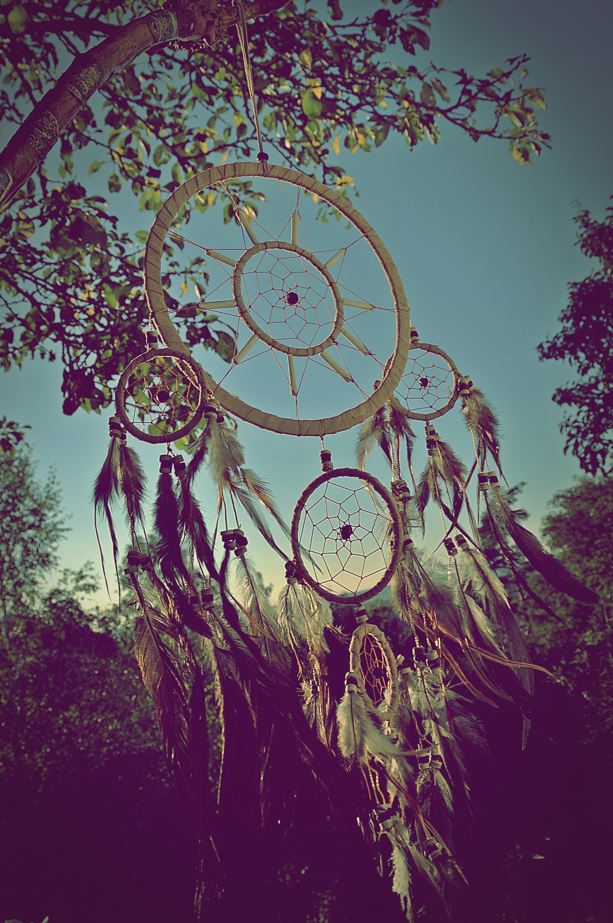 Dreamcatcher.