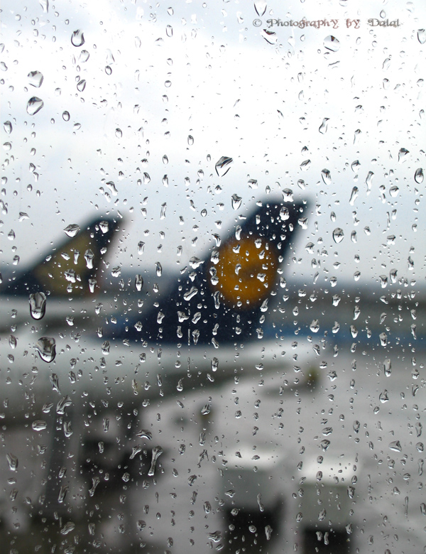 Frankfurt Airport