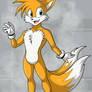 Miles Tails Prower