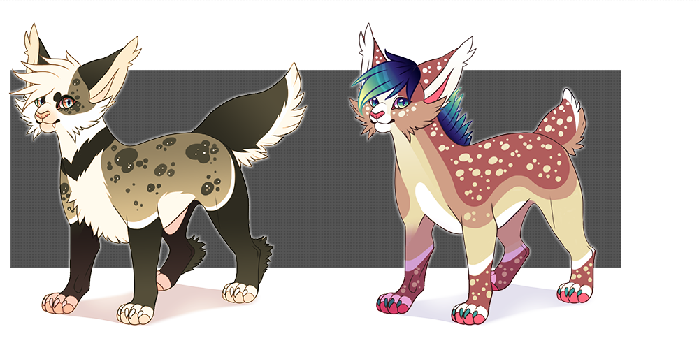 Lynx adopts up for auction! 
