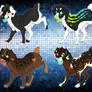 Aussie adoptable batch {CLOSED}