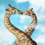 giraffeLove