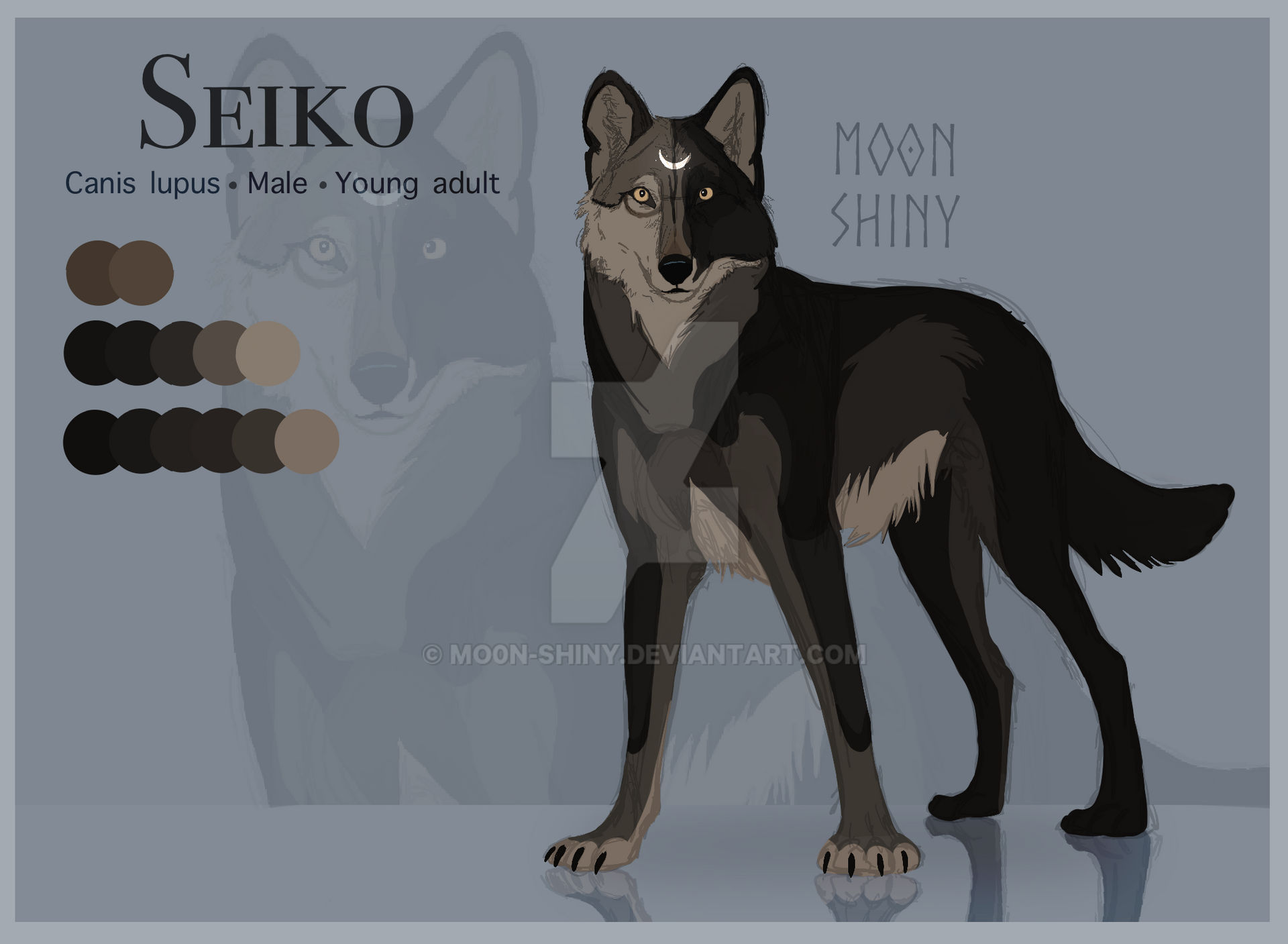 Shiny Reference Reference sheet (Seiko) by Mo0n-shiny on DeviantArt