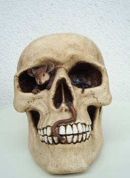 Skull VII