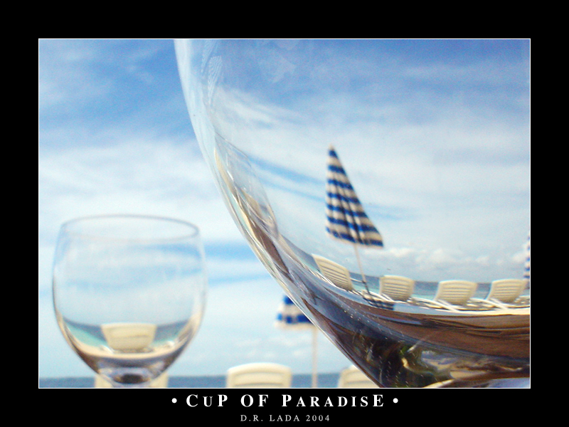 Cup of Paradise