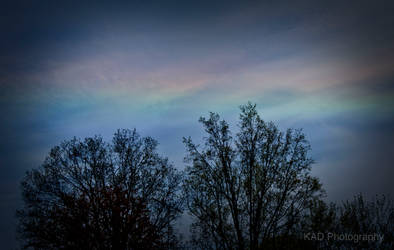 Rainbow Sky I