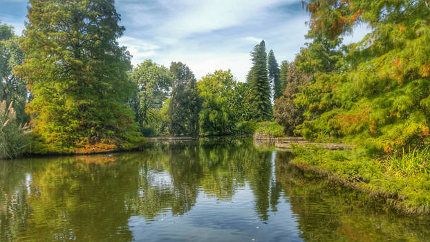 Travel Vlog | Australian Botanic Garden in Autumn