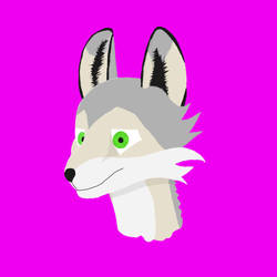 wolf fur face