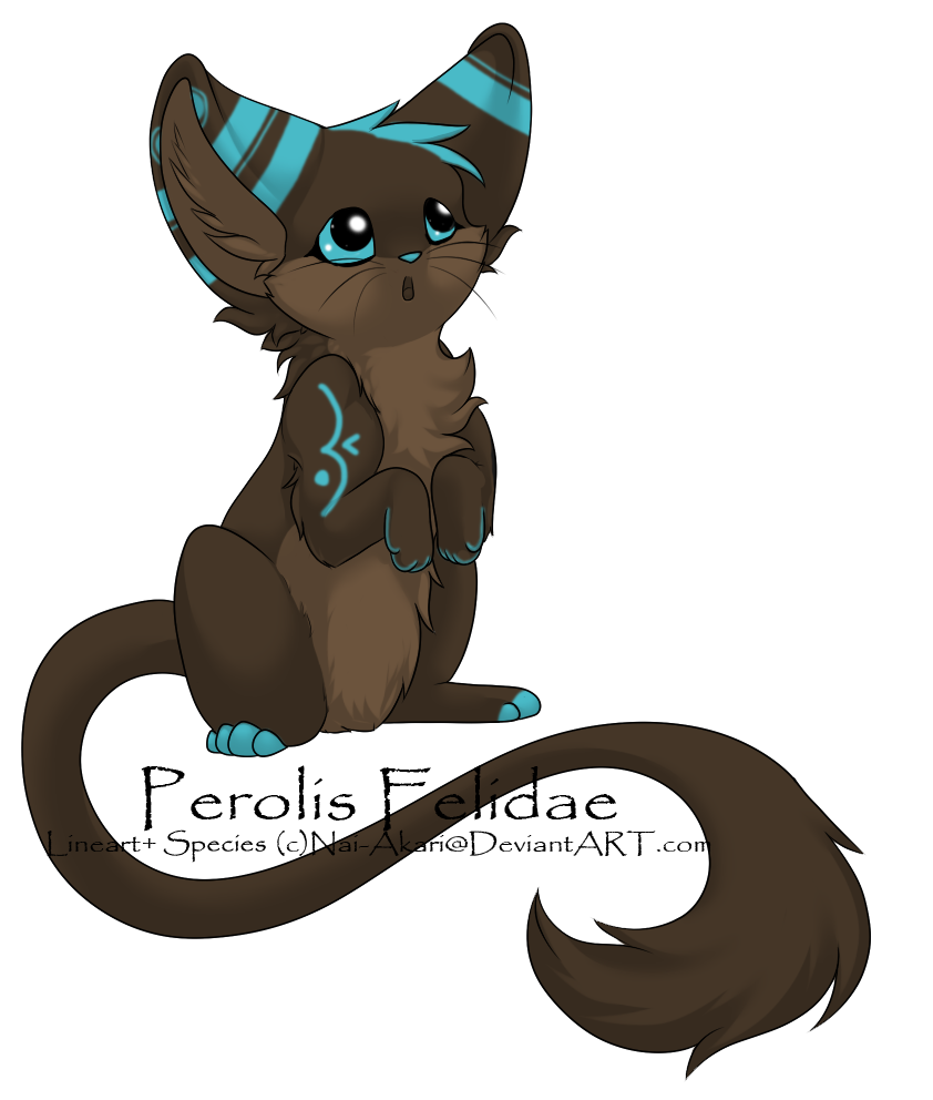 Perolis Felidae Adopt