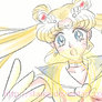 Sailor Moon to Super Sailor Moon fan animation