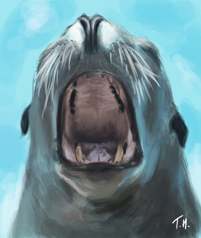 Sea Lion speedpaint