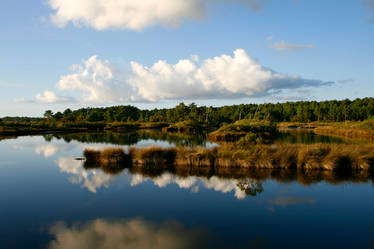 reflected clouds