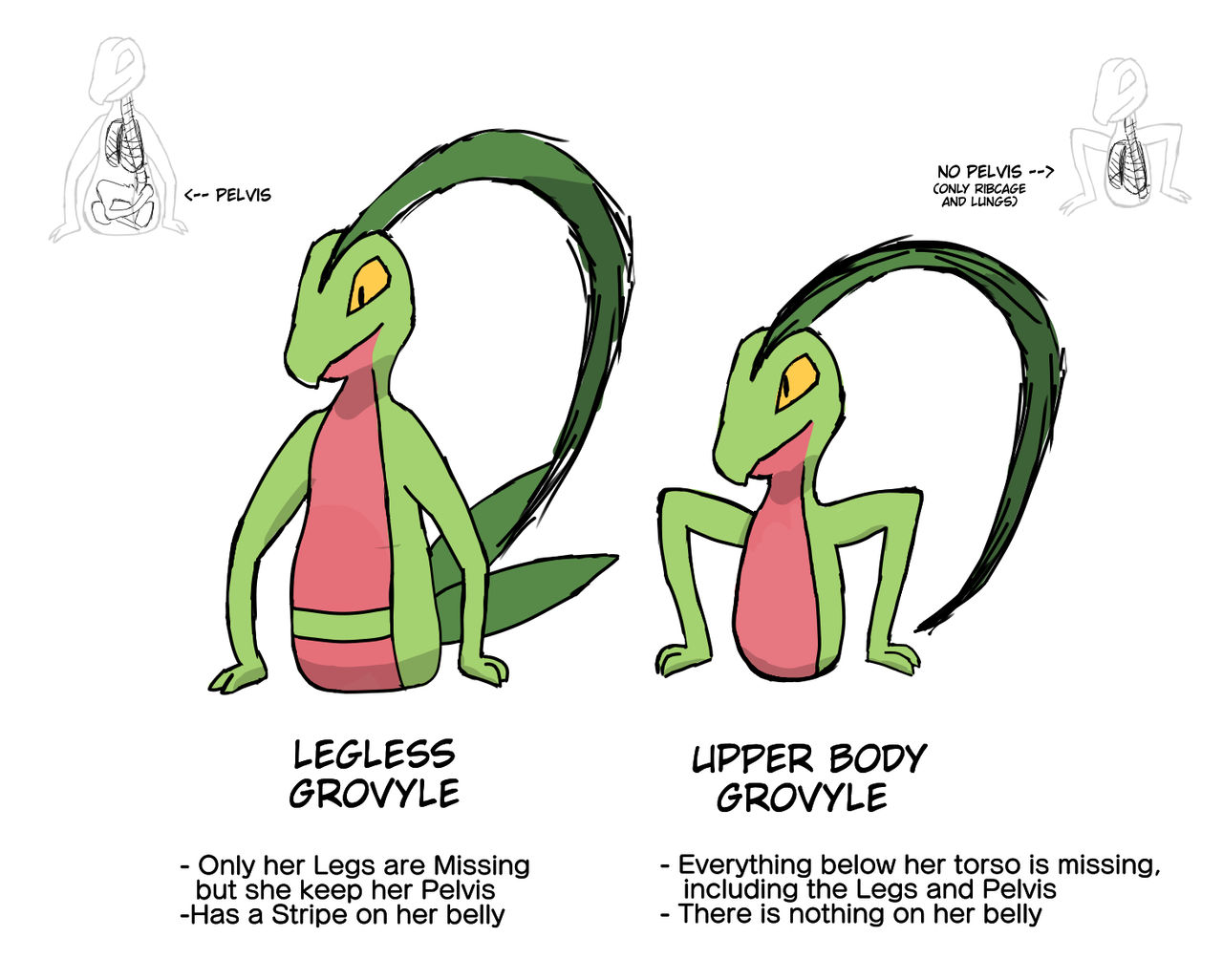 Legless grovyle vs Upper body grovyle by tanyuliang on DeviantArt