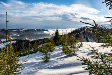 Ukrainian Carpathians