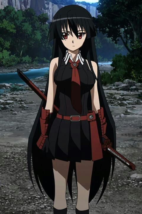 Akame by BrownPaperBag51 on DeviantArt