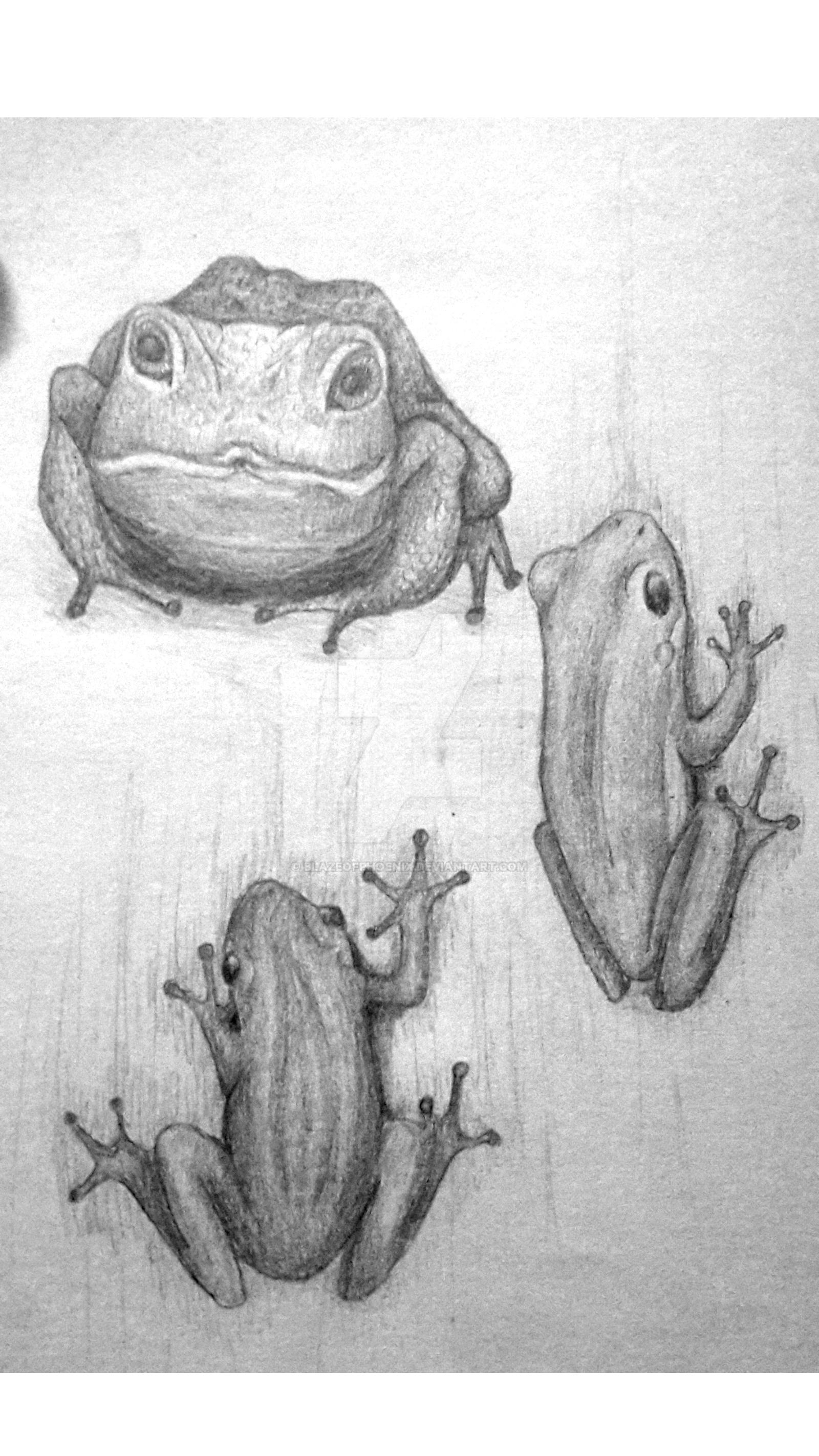 Two Frogs and a Toad by BlazeOfPhoenix on DeviantArt